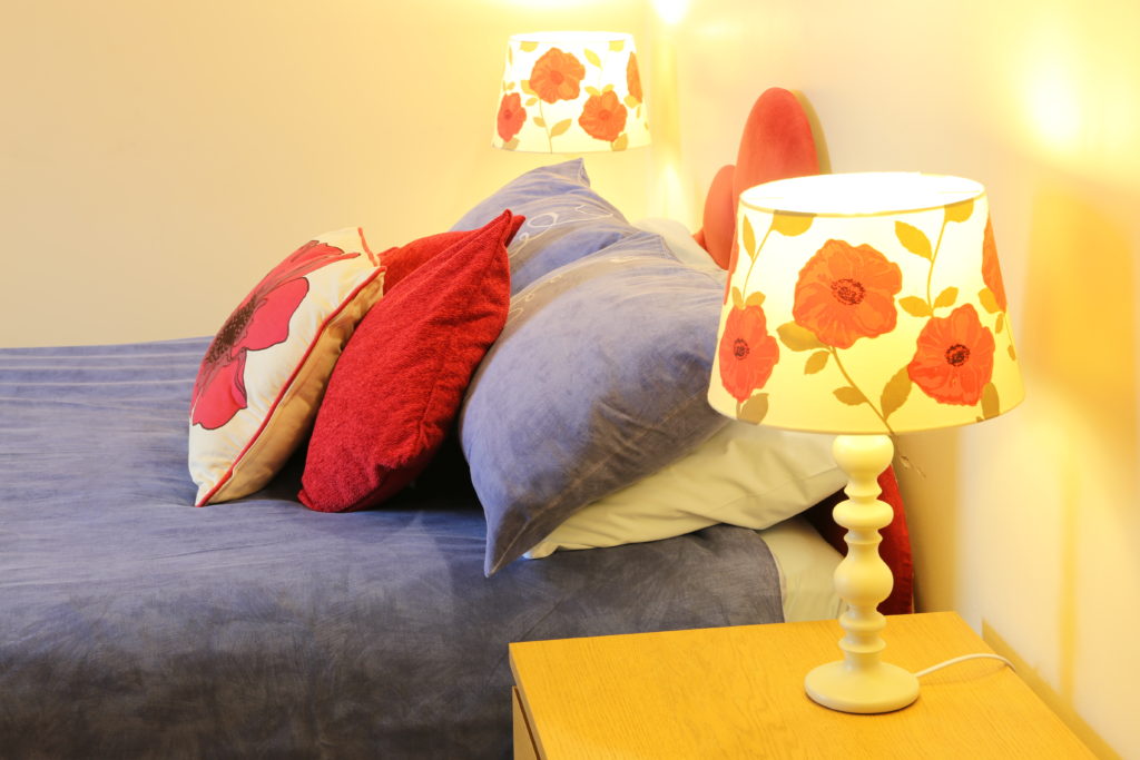 Poppy room pillows